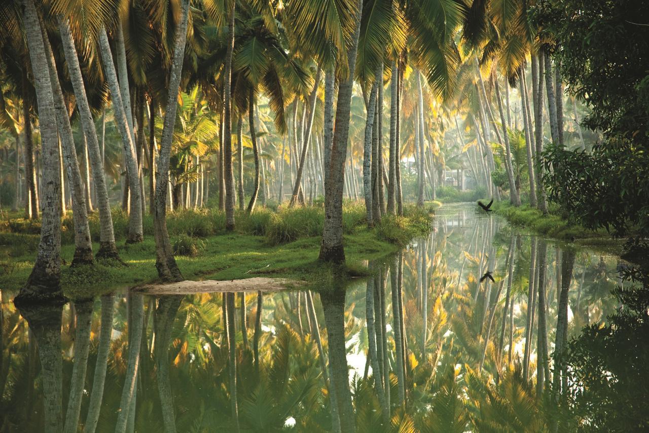 فندق أيسولا دي كوكو Poovar المظهر الخارجي الصورة
